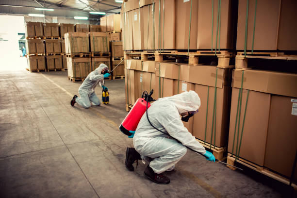 Reliable Magnolia, AR Pest Control Solutions
