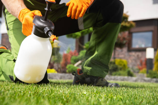 Best Wasp Removal Services  in Magnolia, AR