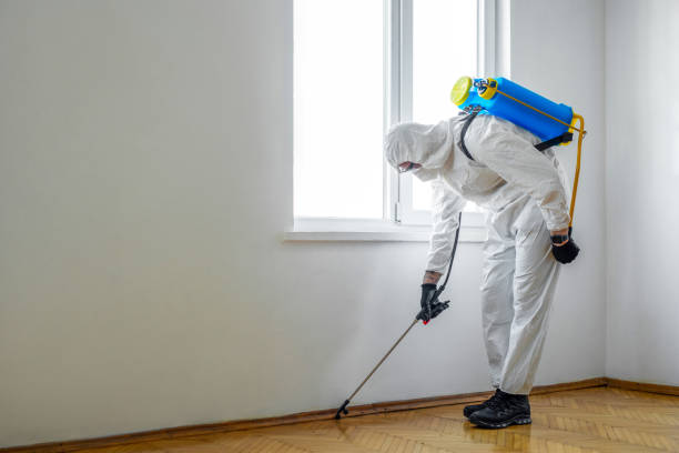 Wildlife Control Services in Magnolia, AR