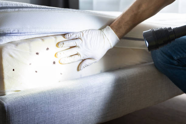 Best Best Pest Control Companies  in Magnolia, AR