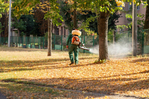 Best Local Pest Control Services  in Magnolia, AR