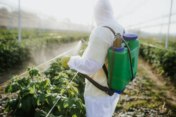 Best Bed Bug Extermination  in Magnolia, AR